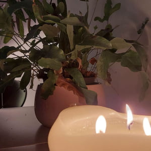 Close-up image of a candle and plant