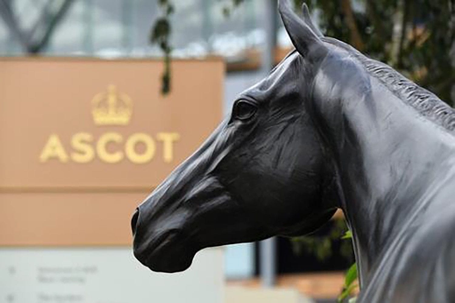 Ascot Racecourse A black horse with a brown sign behind it. On the sign it says ASCOT in gold text.